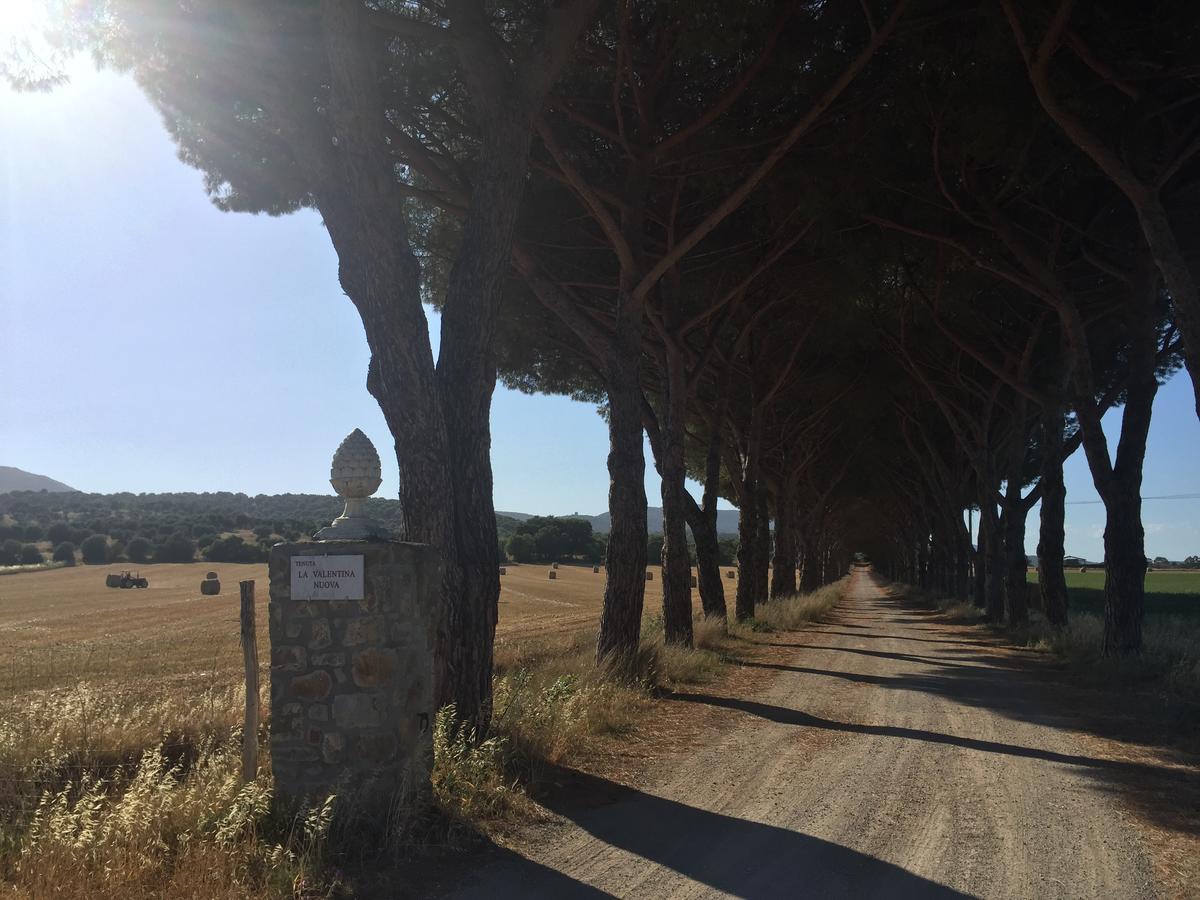 Villa Agriturismo La Valentina Nuova Talamone Exterior foto